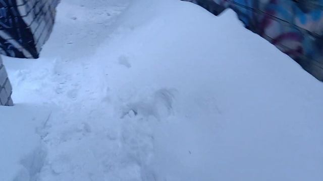 24 февраля 2024 г. смотреть онлайн