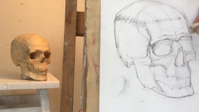 Рисунок черепа. Зарисовка. Процесс с объяснениями . смотреть онлайн