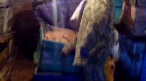 ВЫСТАВКА ПЧЁЛ ИЗ ЗИМОВНИКА!!! КАК ЭТО???? 23 марта 2016 года.???