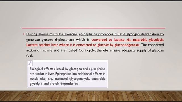 unit 6 git biochemistry lec 7_1 смотреть онлайн