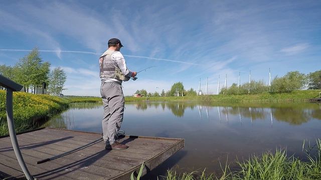 Форель с каждого заброса! Тест приманок Jara Baits Mirax.