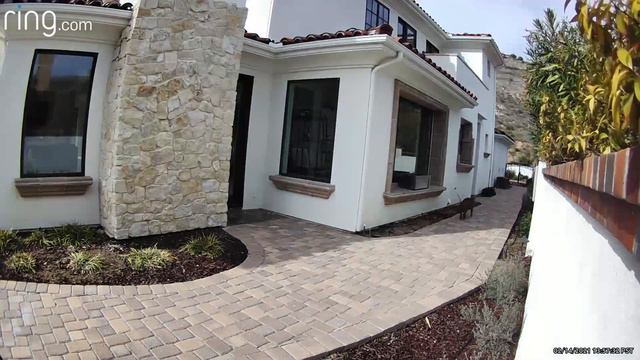 African Serval Cat spotted caught on camera COMPILATION! смотреть онлайн