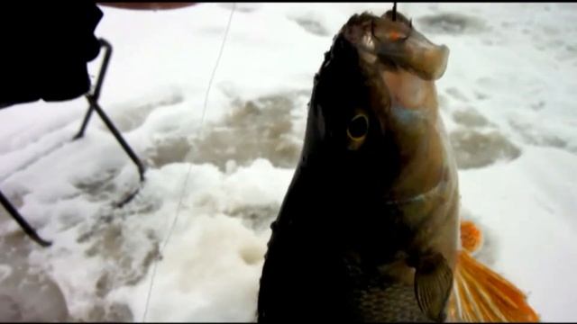 Охота и рыбалка на Севере ХМАО Радужный    