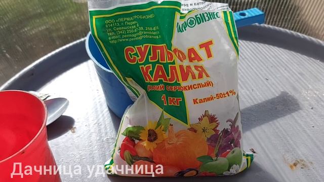 Томаты начали жировать, срочно нужно исправлять ситуацию. Иначе можно остаться без урожая смотреть онлайн