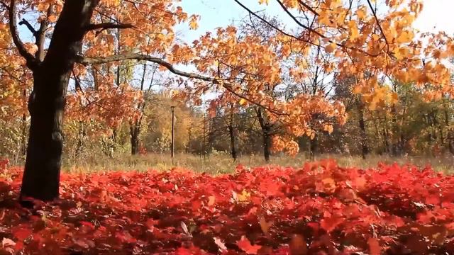 Piano Music, Autumn Landscapes, Remove Negative Thoughts, Stress Relief, Meditation Music смотреть онлайн