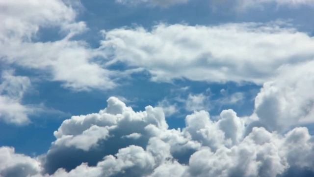 Спаси Господь и Сохрани! смотреть онлайн