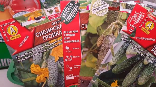 Огурцы и томаты на подоконнике? Легко! смотреть онлайн