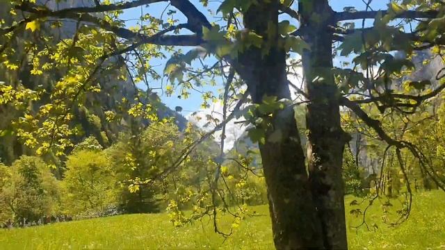 Лаутербруннен Швейцария| Водопады| Воскресные вылазки смотреть онлайн