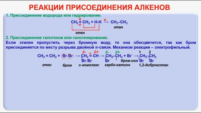 № 22. Органическая химия. Тема 8. Алкены. Часть 6. Реакции присоединения алкенов смотреть онлайн