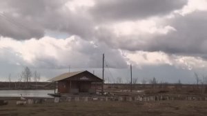 Мишкина берлога