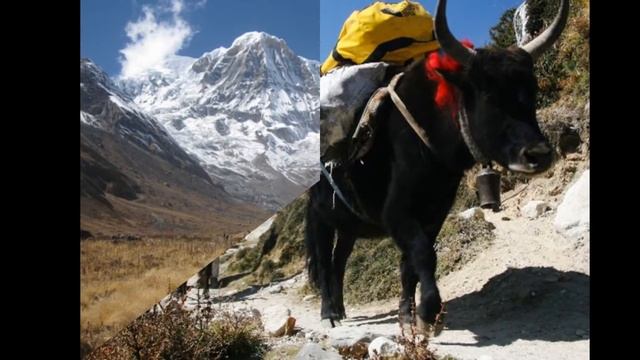 SAGARMATHA - NATIONAL PARK NEPAL - 2017 смотреть онлайн