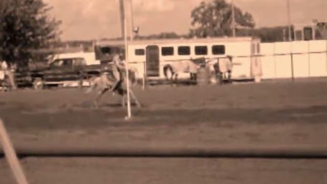 School Project смотреть онлайн