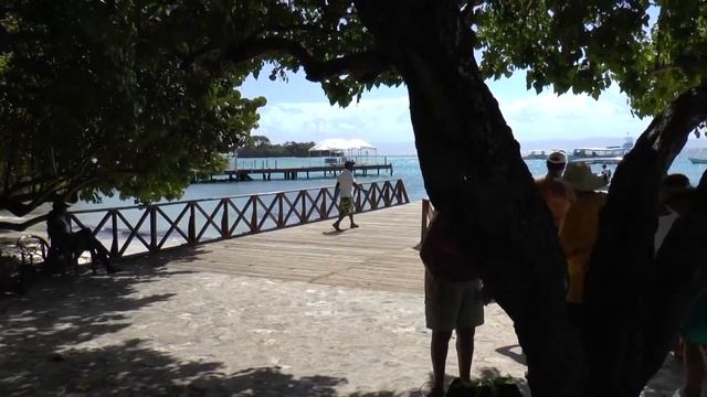 Полуостров Самана, пляж, море, отдых, красивые виды, что посмотреть в Доминикане смотреть онлайн