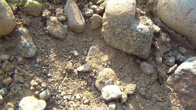 Два камня голубого топаза смотреть онлайн