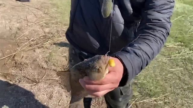 Долгожданный ПАРОВОЗ, Carpfishing по холодной воде, Рыбалка в Казахстане, Рыбалка в Астане смотреть онлайн