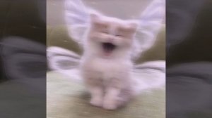 знаешь почему-speed song 💗