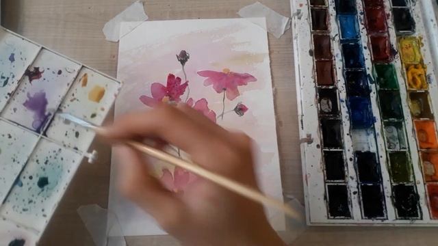 Рисуем Цветы Космеи акварелью смотреть онлайн