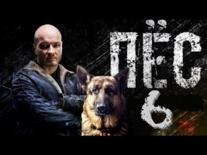 Пёс_6_новый сезон трейлер 2021 .mp4
