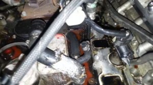 Touareg 3.0 casa антифриз в масле!