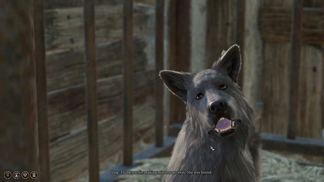 NEVER Return Scratch + Returning Scratch ? #bestboy #baldursgate3 #scratch смотреть онлайн