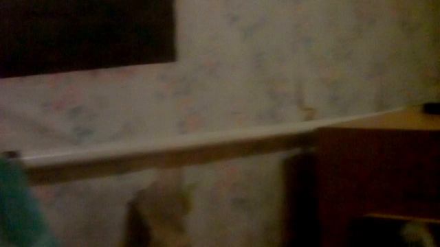 Внезапность, влагалища целовались смотреть онлайн