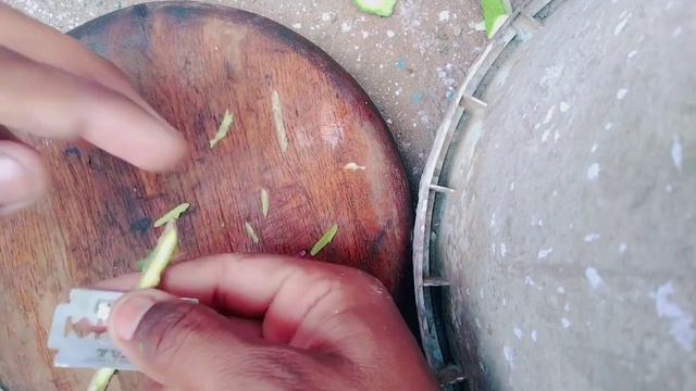 How to grow hibiscus tree with mango fruit 100% sucessful tip ! Best method propagate hibiscus plan смотреть онлайн