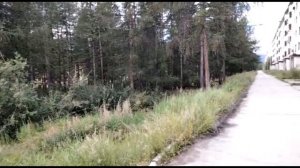 Небольшая прогулка по Синегорье