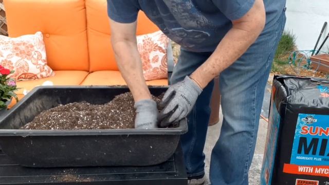 Heritage Roma Tomato II Building the soil and transplanting смотреть онлайн