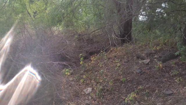 Как построить дом дёшево или лучше бесплатно.