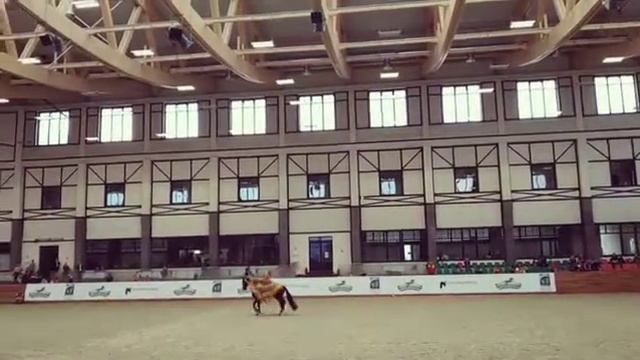 Конная Россия 2019 Андалузы смотреть онлайн