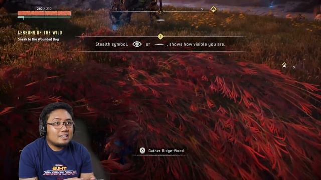 Horizon Zero Dawn "FIRST KILL" PS4 GAMPLAY Part 2 смотреть онлайн