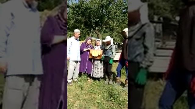 Озгон Абдырахман каары смотреть онлайн