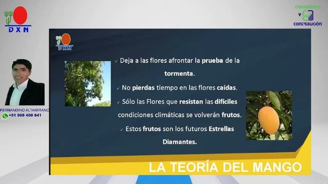 CULTURA DXN / CAMBIO DE HABITOS