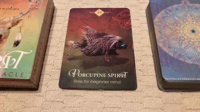 The Spirit Animal Oracle 48/68 Porcupine Spirit guide book audio description смотреть онлайн