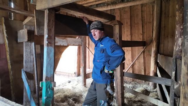 Спасли корову // Продаем телят // Пришла весна // Часть 2 // Жизнь в деревне смотреть онлайн