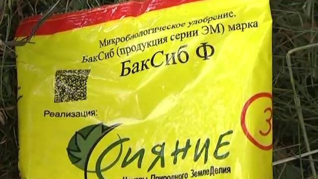 Посадка земляники, саженцев деревьев, кустарников и декоративных растений, цветов луковичных пород. смотреть онлайн