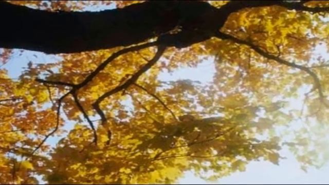 ДЕНИС КОРОЛЕВ "СОЛОВЬЁМ ЗАЛЁТНЫМ" смотреть онлайн