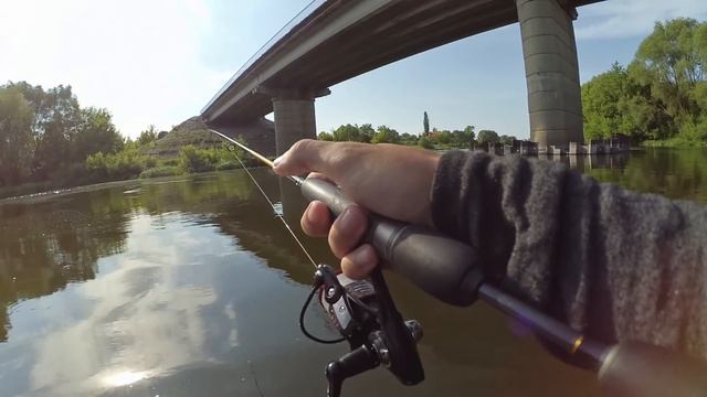 Лещ на мормышку, микроджиг (мормышинг) в начале июня на Дону