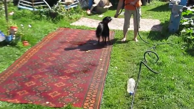 Стираемся!!! смотреть онлайн