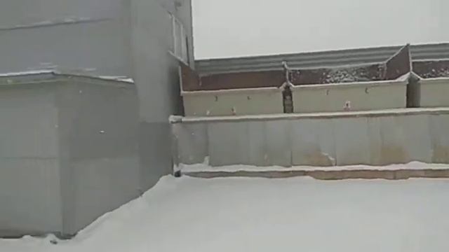 Зима Бетон ,раствор,щебень ,гравий,песок!!! Минск !!!4 февраля 2021 г. смотреть онлайн