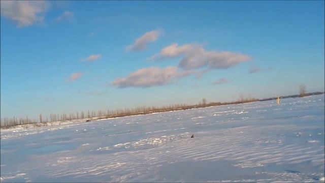 дикая утка нападает на рыбаков смотреть онлайн