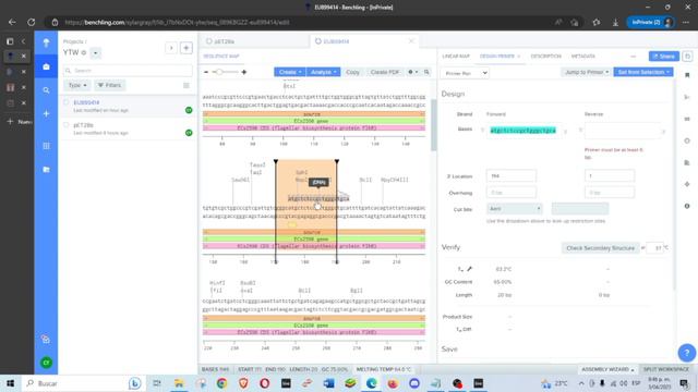 How to design Primers in Benchling and clone gene of interest through Virtual Digest смотреть онлайн