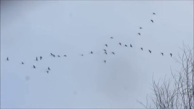 Вот и лето прошло