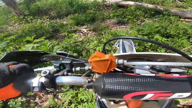 Покатуха в лес часть 2 смотреть онлайн