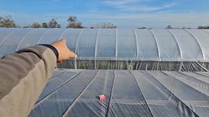 Восстановил теплицу 13,5×80м после урагана. Как закрепить пленку на крыше деревянной теплицы.