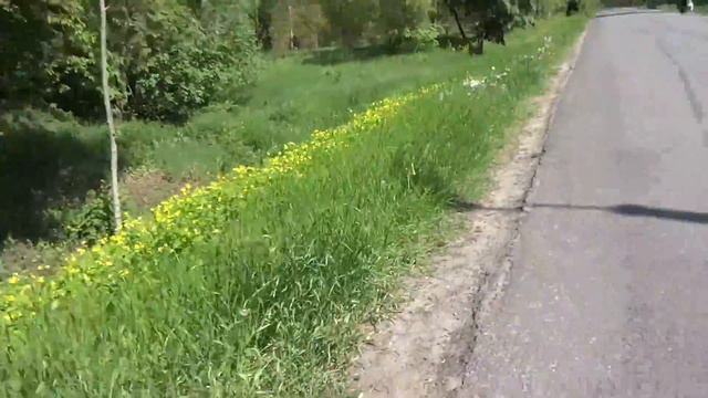 Как беззубик к бабушке ходил смотреть онлайн