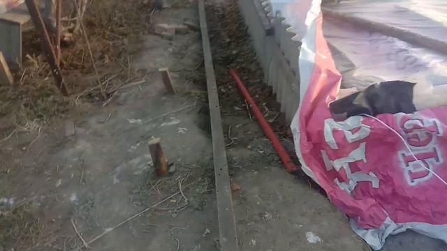 Большая Теплица для Бассейна за 20 т.р / Навес для Бассейна своими руками! смотреть онлайн