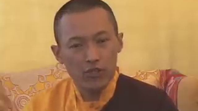 Noble Qualities: Compassion, Wisdom, Intelligence, Mindfulness. Sakyong Mipham Rinpoche. Shambhala