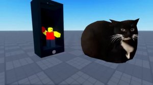 Maxwell cat в Разных местах, Максвел кот.