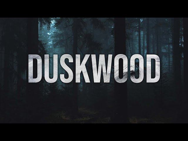 КТО ВСЕ ЭТИ ЛЮДИ?! - Duskwood [Прохождение#1]